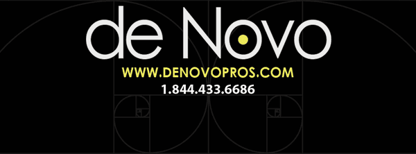 De Novo Pros- Digital Marketing and Internet Advertising Solutions