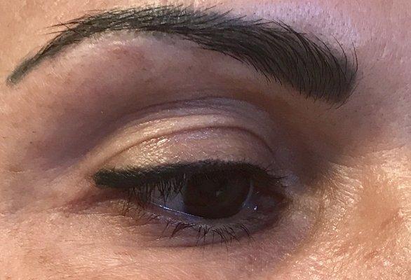 Permanent Liner and Microshaded Brow