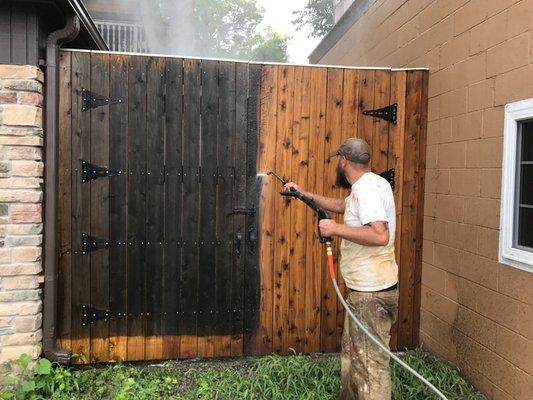 Cedar Fence. Delicate Pressure Wash