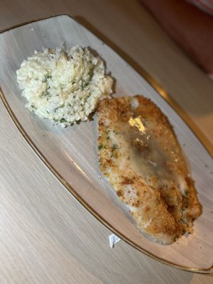 Mediterranean Grouper