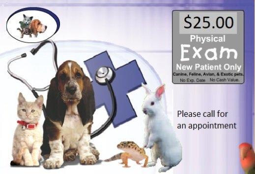 Torrance Animal Hospital