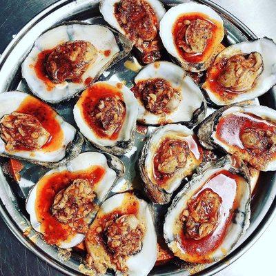 Steam Oysters