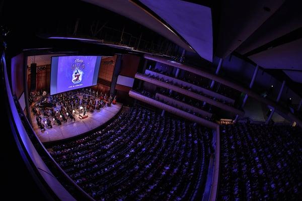 Each year the GR Symphony features different music and film concerts. Here is a pic from the Fantasia concert!