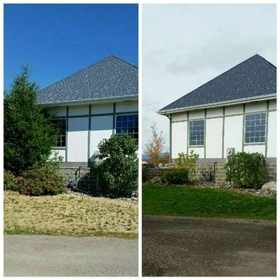 This lawn was brought back from the dead and you could not even see out of the window with the over growth before we took care of it.