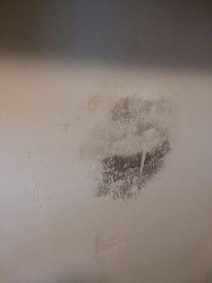 Mold on wall behind refrigerator