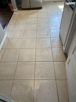 Tile & Grout cleaning after