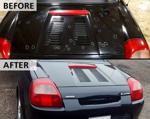 Hail Damage - Paintless Dent Repair!