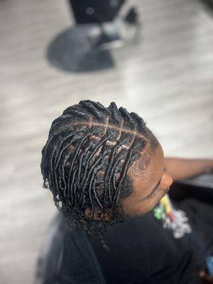 Starter Locs