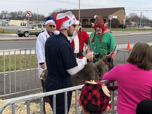 Santa's reindeer getting all checked out before the flight!