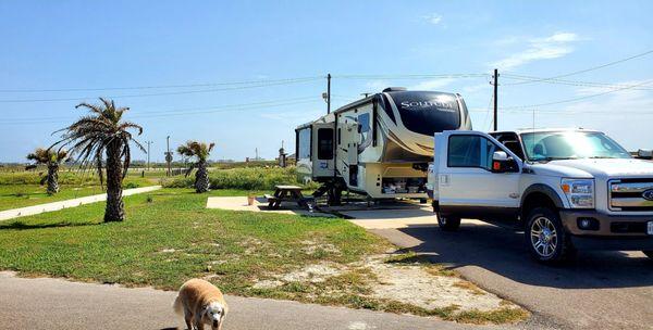 Campsite 8, near a walkway to the beach.