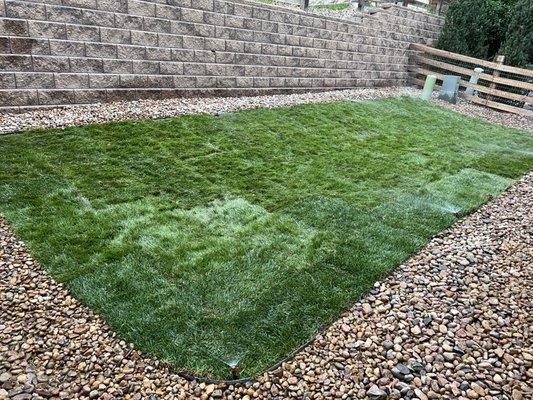 Grass and Rock