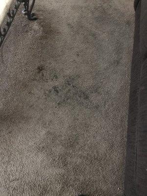 Ruined Carpet