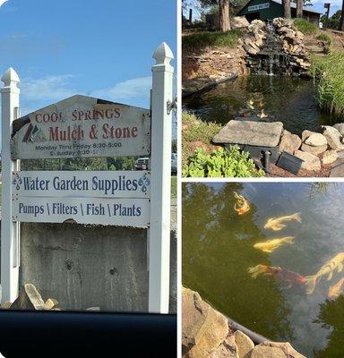 Awesome pond/waiting area