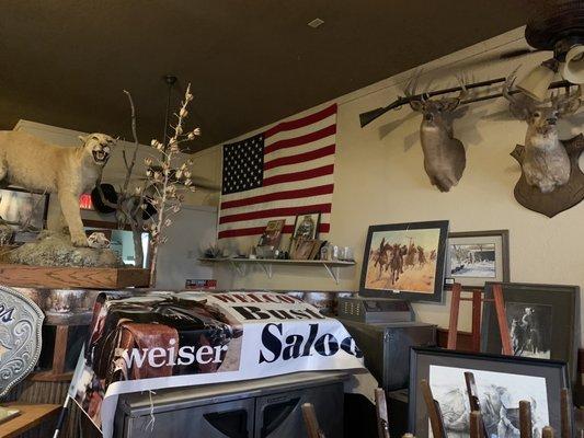 Cool taxidermy and artifacts