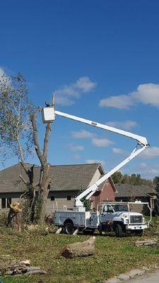 No Limits Tree Service