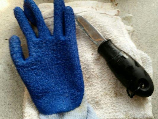 All you need to open Nemos' oysters.  It reslly isnt hard.  Get the gloves! Pro tip: go for the medium ones.