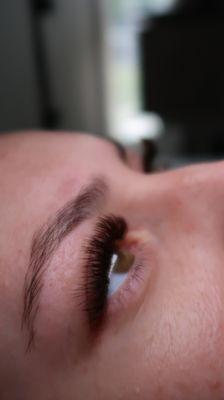 "Stevee Set" by Renee                                                  Velvety Dark Brown Lash Extensions