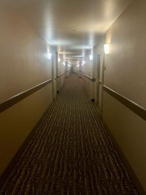 Hallway of rooms