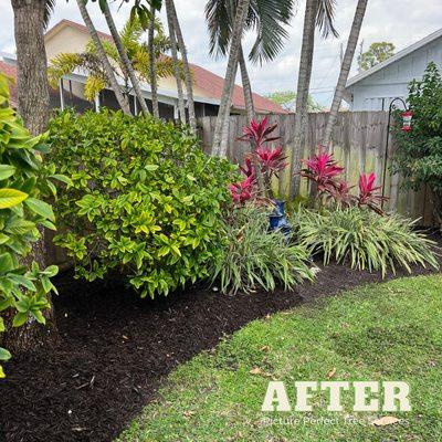 Some quick mulch installation over the weekend!