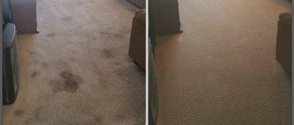 Before and after carpet cleaning.