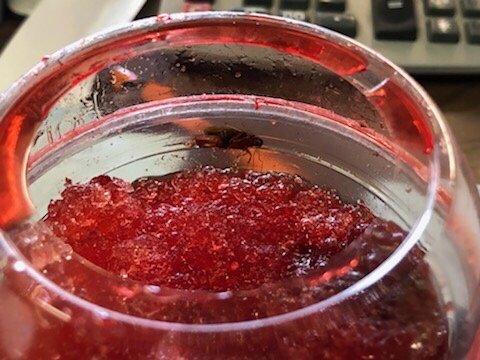 A Cockroach in My Boss's Drink!