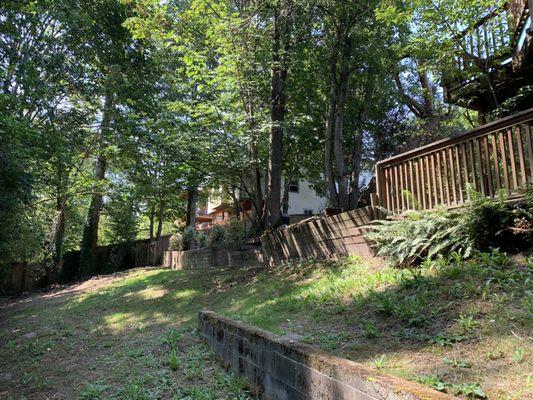 Long wooden wall in the backyard, which is both leaning and has two trees and a pond above it. Surely that's concerning, but HOW concerning?