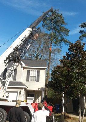 Tree Removal Crew - Southeastern Tree Removal