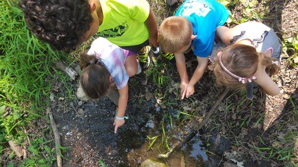 Nature Exploration with Primary children