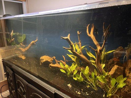 Ona different angle of the new design of the fish tank