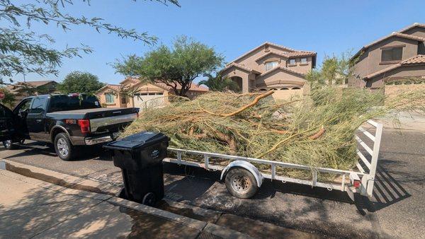 Tree trimming service and waste haul away