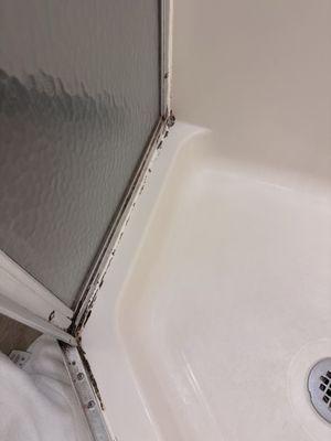 Mold throughout the shower