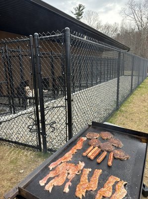 Yes, we do feed some hot dog afternoon treats at times if the dog is allowed.   Or this would be just cruel.  Haha