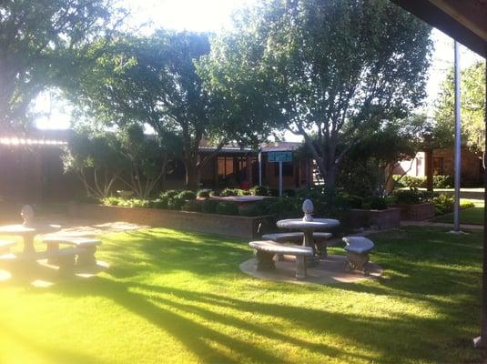 Nice and protective courtyard where the kiddos get to unwind