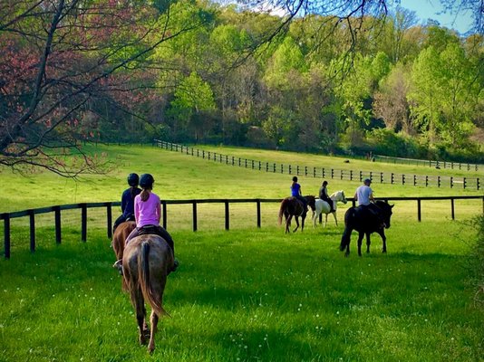 Summer trail rides