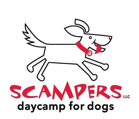 Scampers Daycamp For Dogs - Kirkland