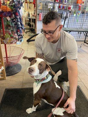 Happy Tails Self Serve Dog Wash