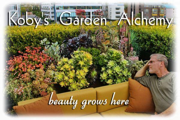 This 'jewel-box' of succulents atop this raised planter provides fascinating color, shape and texture year-round.