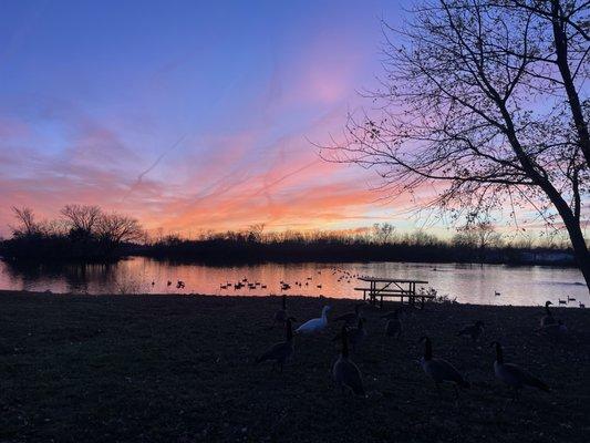 Beautiful lake, amazing sunsets and great fishing!