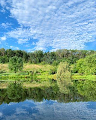 Quiet pond is the perfect place for a glass of wine!