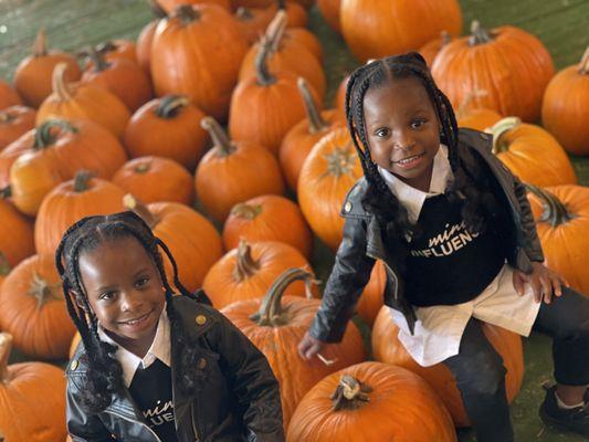 We love Pumpkins!!