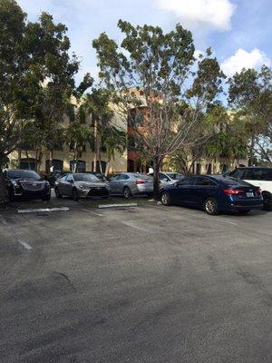 Dr Diana Wohlstein DMD Sawgrass Dental Center Parking