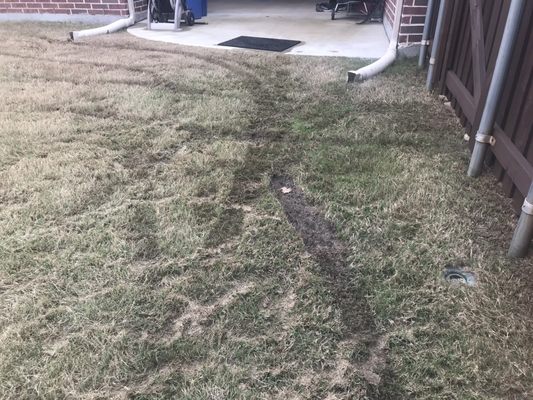 They destroyed my lawn