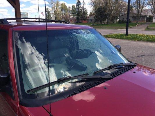 Accurate Auto Glass Services - before (hit by a turkey)