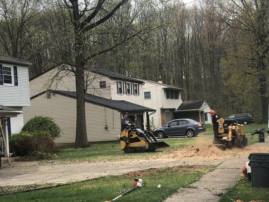 Stump grinding, skid loader removing stump mulch