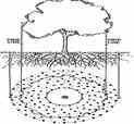 FEED AND TREAT ZONES