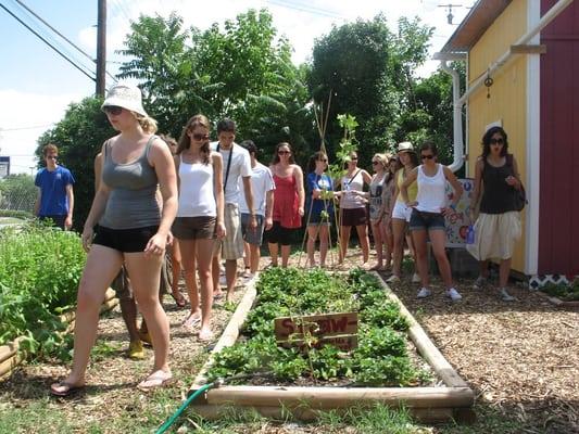 Promise of Peace Community Garden