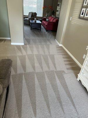 Residential steam carpet cleaning shampoo