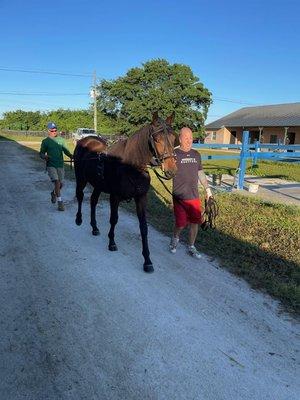 Uptown Pets Stable