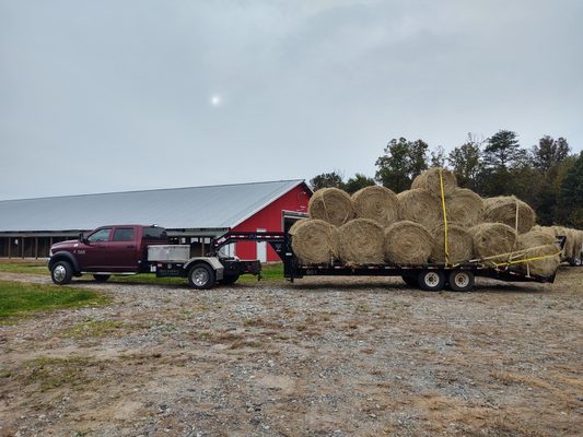 Fireball Transport