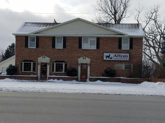 Afton Animal Hospital-Williamsville